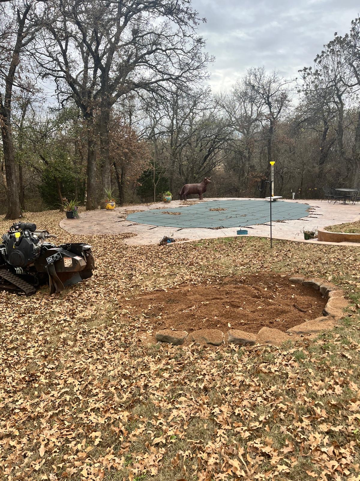 Fire pit area after stump grinding, ground level and clean